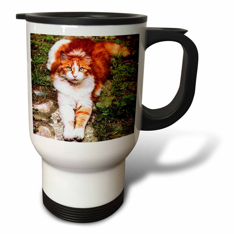 3dRose Cat Travel Mug Wayfair